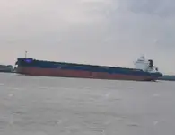 বাল্ক ক্যারিয়ার বিক্রির জন্য