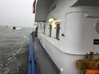বহুমুখী বিক্রির জন্য