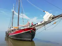 বাল্ক বাহক বিক্রির জন্য