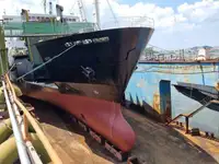 Ro-Ro ship বিক্রির জন্য