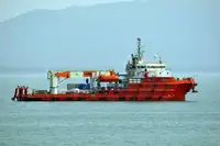 টাউবোট বিক্রির জন্য