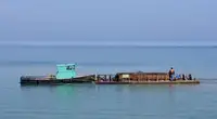 ওয়ার্ক বোট বিক্রির জন্য