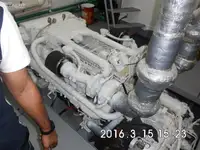 ডাইভ সাপোর্ট বিক্রির জন্য