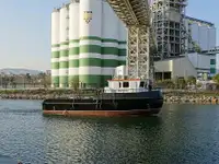 টাউবোট বিক্রির জন্য