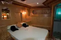 ডাইভ সাপোর্ট বিক্রির জন্য