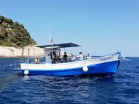 Trawler বিক্রির জন্য