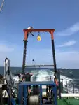 ওয়ার্ক বোট বিক্রির জন্য