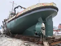 টাউবোট বিক্রির জন্য