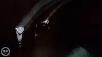 ট্রলার বিক্রির জন্য