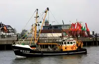 Trawler বিক্রির জন্য