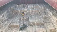 বাল্ক বাহক বিক্রির জন্য