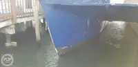 ক্যাটামারান বিক্রির জন্য