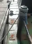 ওয়ার্ক বোট বিক্রির জন্য