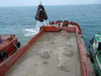 বার্জ বিক্রির জন্য