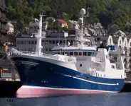 Purse seiner বিক্রির জন্য