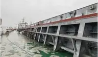 বাল্ক বাহক বিক্রির জন্য