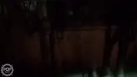 ট্রলার বিক্রির জন্য