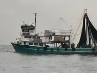 পার্স সেইনার বিক্রির জন্য