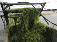 বিলজ ওয়াটার ট্যাঙ্কার বিক্রির জন্য
