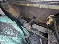 ক্রুজফেরি বিক্রির জন্য