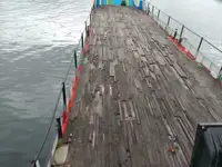বাল্ক বাহক বিক্রির জন্য