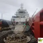 সরবরাহ জাহাজ বিক্রির জন্য