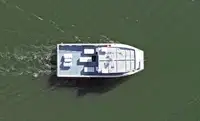 ক্যাটামারান বিক্রির জন্য