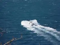 ফেরি জাহাজ বিক্রির জন্য
