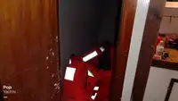 ফেরি জাহাজ বিক্রির জন্য