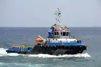 টাউবোট বিক্রির জন্য