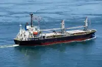 বাল্ক ক্যারিয়ার বিক্রির জন্য