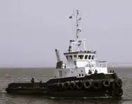 টাউবোট বিক্রির জন্য