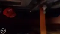 ট্রলার বিক্রির জন্য