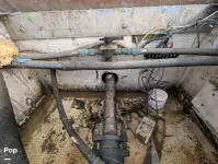 ক্রুজফেরি বিক্রির জন্য