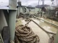 বাল্ক বাহক বিক্রির জন্য