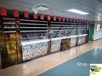 রো-রো জাহাজ বিক্রির জন্য
