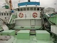 লংলাইনার বিক্রির জন্য