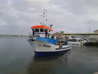 টগবোট বিক্রির জন্য