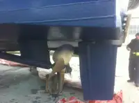 ক্রু বোট বিক্রির জন্য