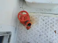 ফেরি জাহাজ বিক্রির জন্য