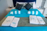 ডাইভ সাপোর্ট বিক্রির জন্য