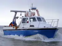 কাটার বিক্রির জন্য