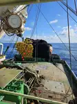 Purse seiner বিক্রির জন্য