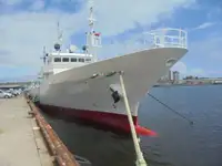 টহল নৌকা বিক্রির জন্য