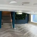 ক্রুজফেরি বিক্রির জন্য