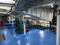 Ro-Ro ship বিক্রির জন্য
