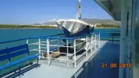 Ro-Ro ship বিক্রির জন্য