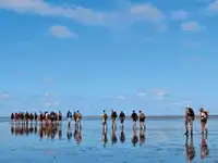 বার্জ বিক্রির জন্য