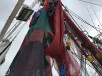 ট্রলার বিক্রির জন্য