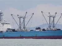 রিফার জাহাজ বিক্রির জন্য